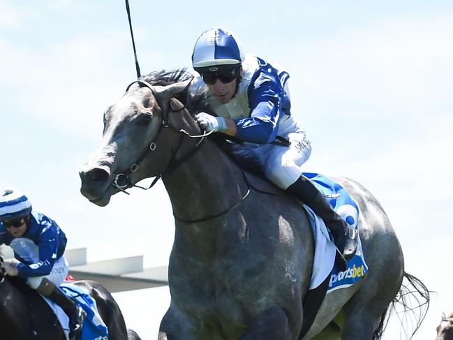 My Gladiola ridden by Jamie Mott wins the Sportsbet Blue Diamond Preview (F)(Chute) at Sportsbet Sandown Lakeside Racecourse on January 25, 2025 in Springvale, Australia. (Photo by Pat Scala/Racing Photos via Getty Images)