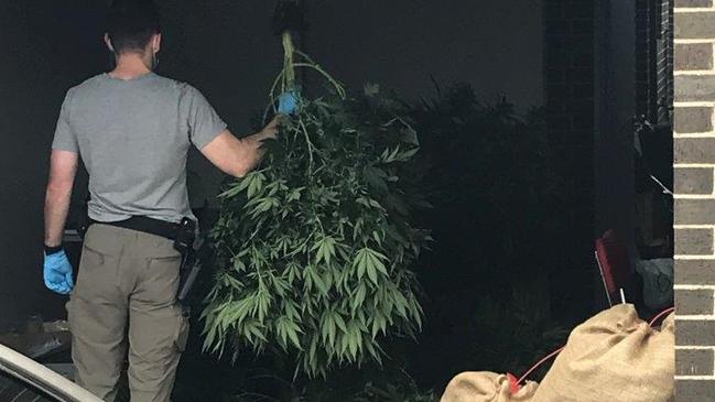 Tips from members of the public helped police identify some of the grow houses. Picture: Victoria Police