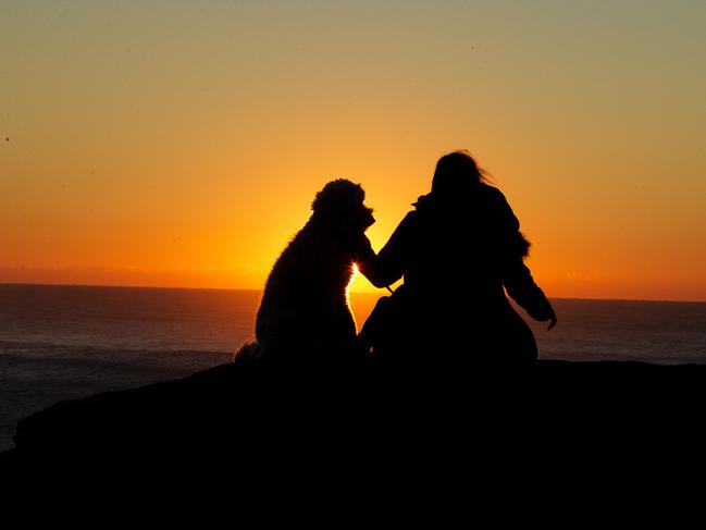 The sun rises over Marks Park, Tamarama on Sunday. Picture: Jenny Evans