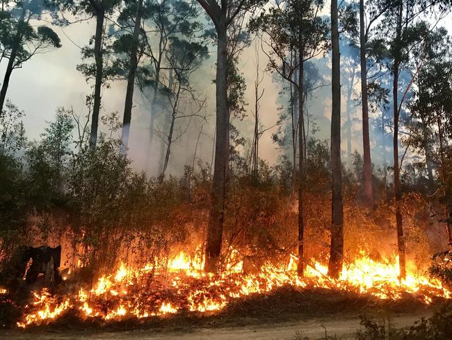 Smoke warning issued for parts of Gympie