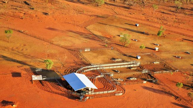 Canada's PSP Investments, through its Hewitt Cattle Australia business, last week paid almost $100m for the adjoining Narwietooma, Napperby, Glen Helen and Derwent stations, totaling 1.1 million hectares, in the Northern Territory.