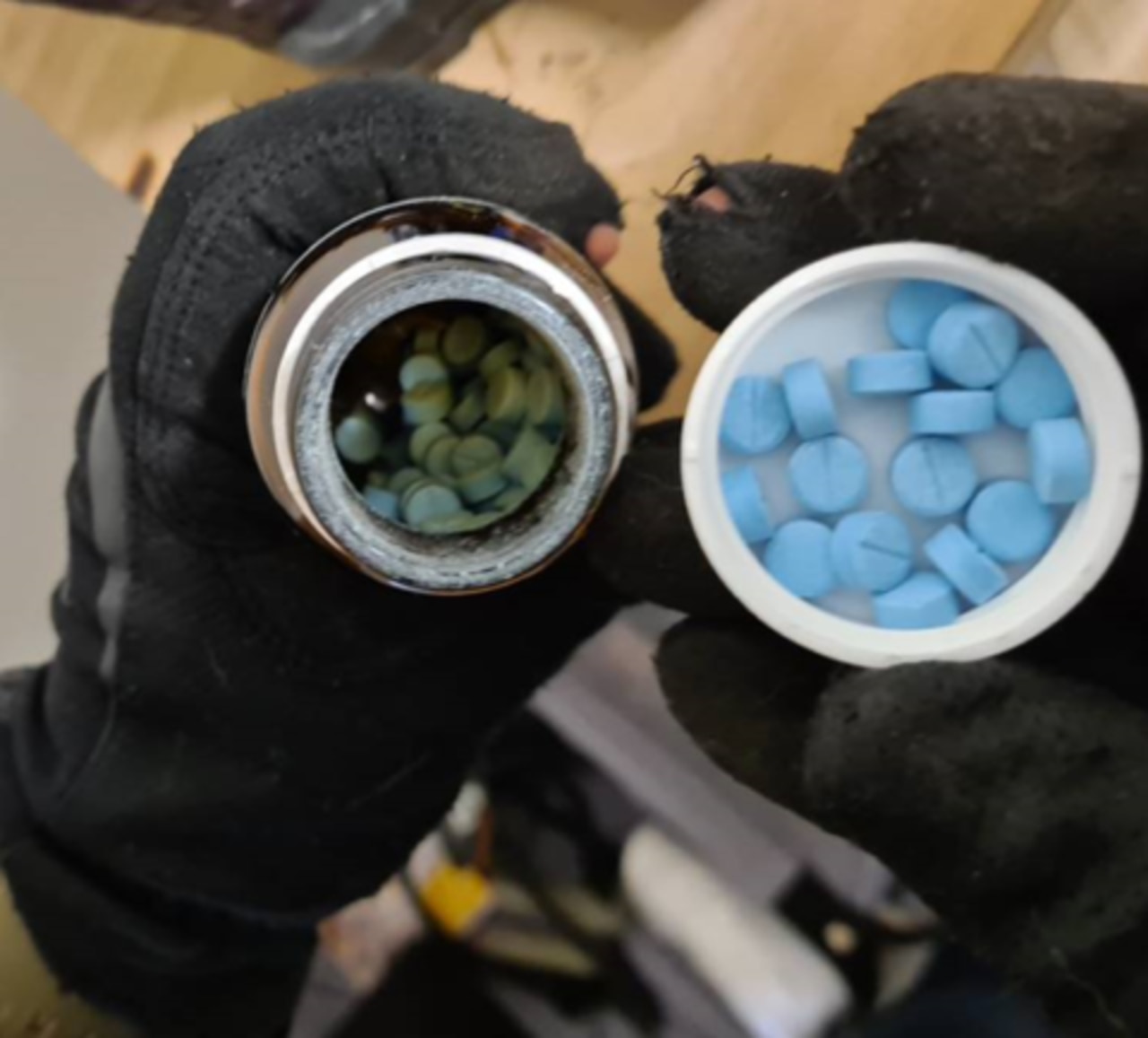 Pills seized during the raid at the Sunshine Coast properties.