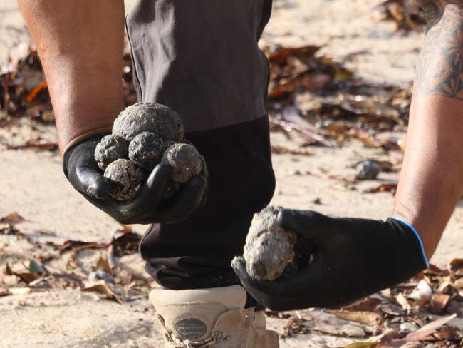 SYDNEY, AUSTRALIA - NewsWire Photos OCTOBER 16, 2024: Council workers clean up what Randwick council describes as possible tar balls that have washed up on Coogee Beach. Coogee Beach has been closed until further after mysterious, black, ball-shaped debris was located washed along the length of the beach.Picture: NewsWire / Damian Shaw