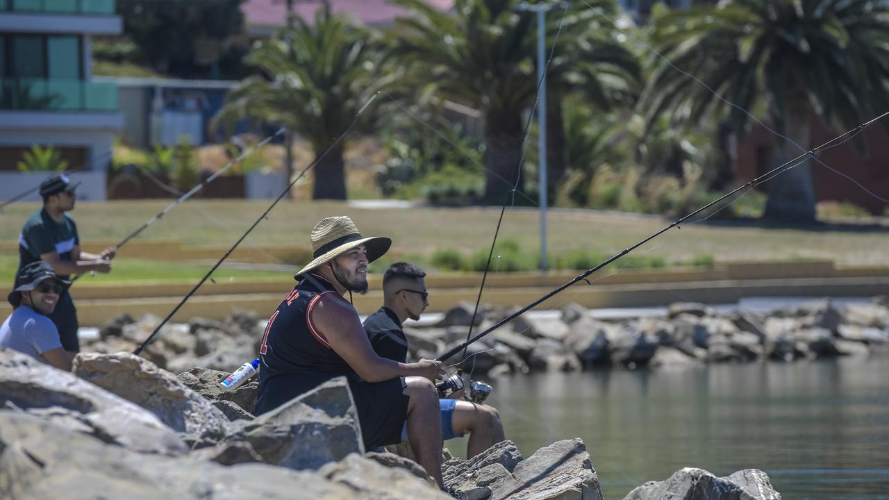 SA fishing fines for undersized fish and exceeding seafood bag limits to  soar from March