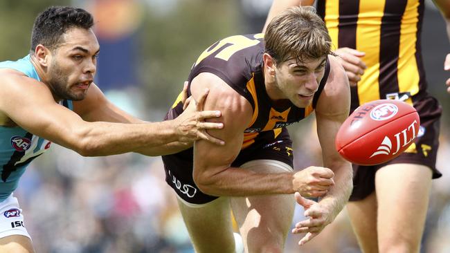 Ryan Schoenmakers featured in Hawthorn’s 2015 flag. Picture Sarah Reed