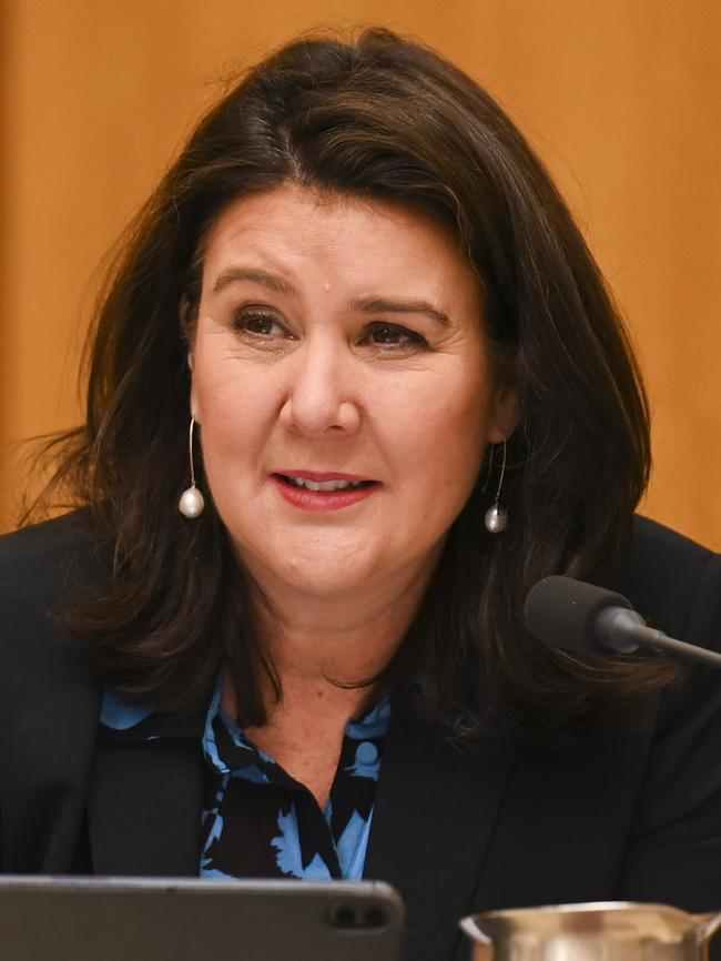 Opposition finance spokeswoman Jane Hume. Picture: NCA NewsWire/Martin Ollman