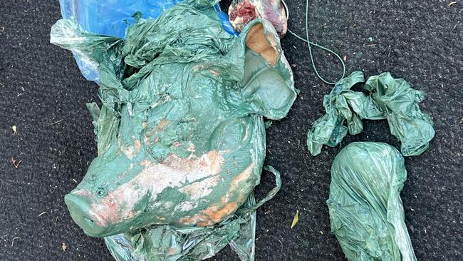 Images of a dead pig's head and heart found dumped outside the Gold Coast mosque. Pictured: Supplied by Hussin Goss.