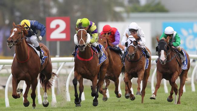 Win For The Punters: Bulletin Readers Get Free Entry To Every Gold 