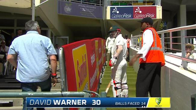 David Warner clashes with a fan.