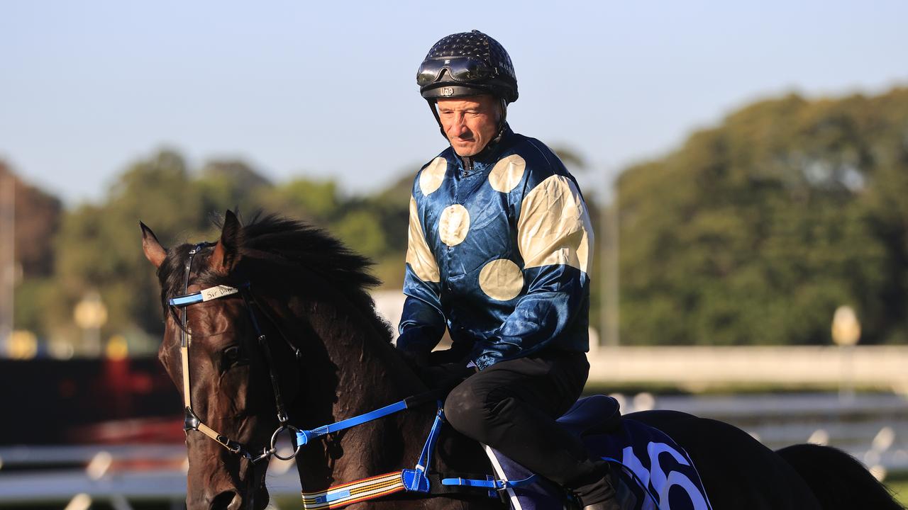 Randwick Trackwork Session