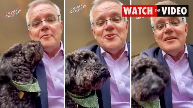 Scott Morrison joins TikTok