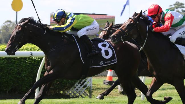 Craig Williams will ride Kintyre (right) in the Group 1 Champagne Stakes at Randwick on Saturday. Picture: Grant Guy