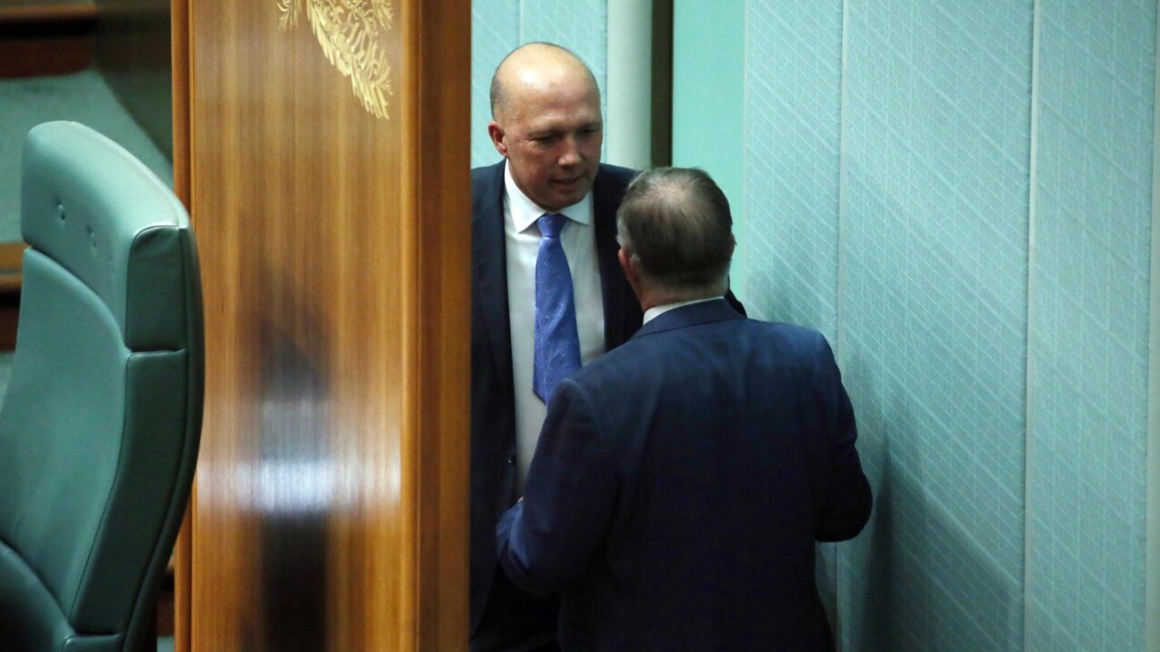 Albanese surrenders to Dutton's Voice pamphlet demand