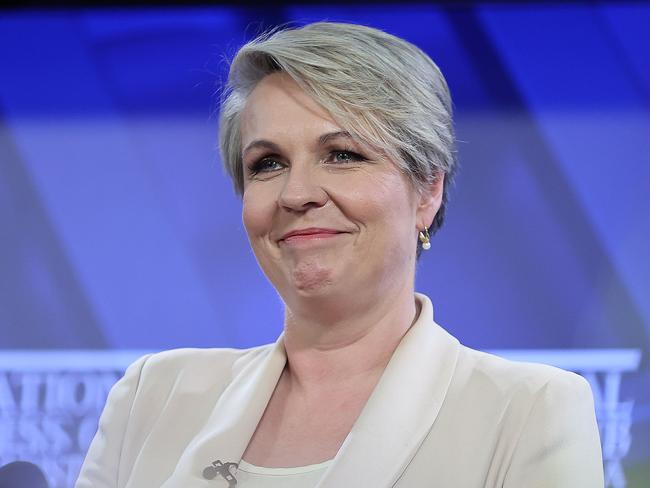 CANBERRA, AUSTRALIANewsWire Photos 19 July, 2022: Tanya Plibersek, the Minister for the Environment and Water, and the Federal Member for Sydney spoke at the National Press Club of Australia, for her State of Environment Address.Picture: NCA NewsWire / Gary Ramage