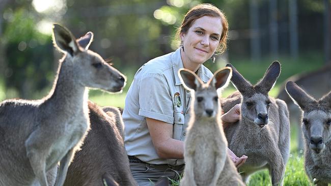 Wildlife officer Kayla Ousley at Lone Pine Koala Sanctuary in Brisbane, where bookings have taken a hit, Picture: Lyndon Mechielsen