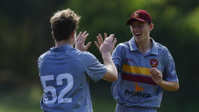 Stockton celebrating a wicket. Picture: Michael Gorton