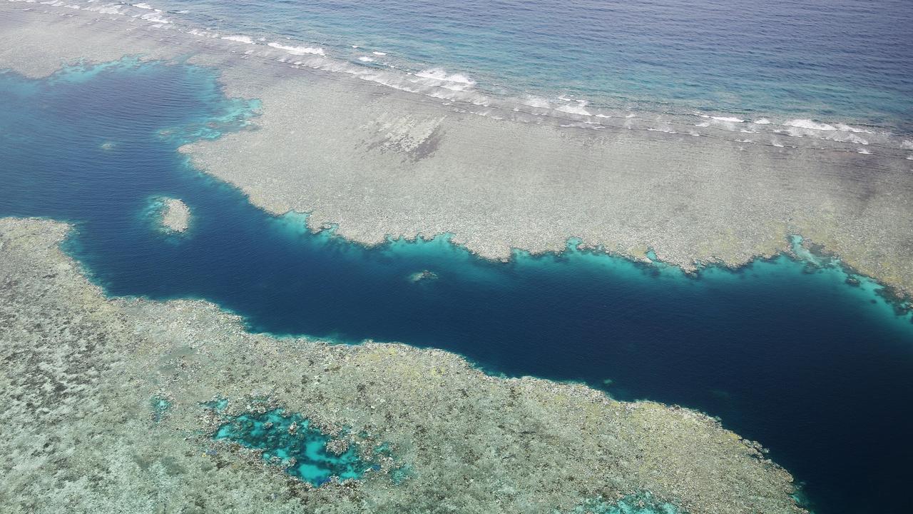 General, generic stock photo of coral bleaching on the Great Barrier Reef off the Far North Queensland coast. The photo was taken on March 20 from an Australian Maritime Safety Authority (AMSA) Domier 328 plane, commissioned by the Great Barrier Reef Marine Park Authority (GBRMPA) to survey the impact of coral bleaching on the northern Great Barrier Reef. PICTURE: BRENDAN RADKE