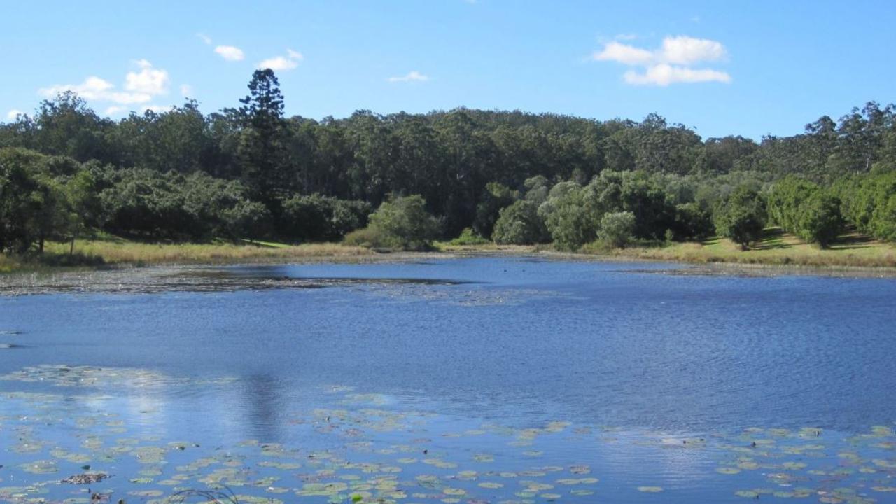 The dam on the property at Ringtail Creek.