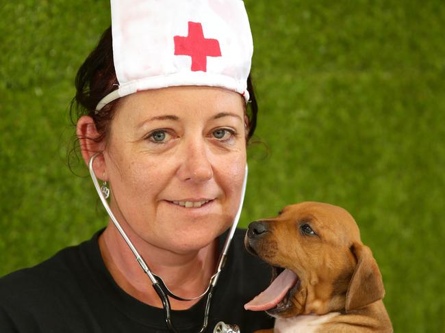 Blue Moon Pet Services is hosting a free dog first aid course. Owner Emma O'Dwyer is pictured with five week old Rusty who was born to one of Emma's Geelong Animal Rescue foster dogs. Picture: Alison Wynd