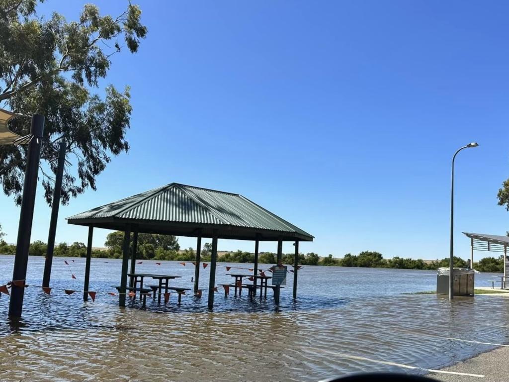 The river at Thiele Reserve, Murray Bridge, on December 25. Picture: Damon Schulz