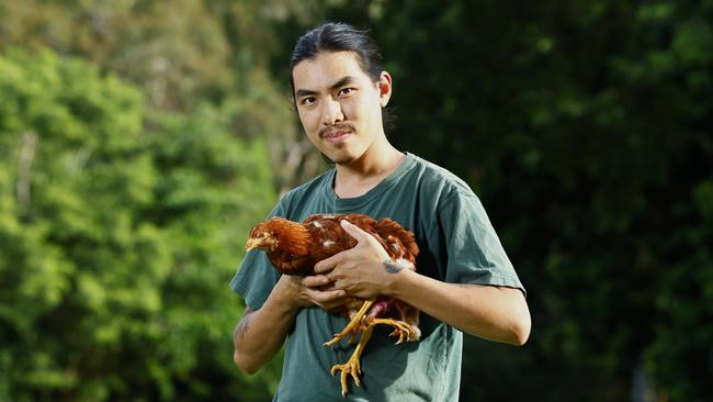 April the chicken was born with an extra set of legs, making her a four legged hen. After being targeted by the other chickens in the roost, April is now being cared for by wildlife carer and ecologist Wise Lum and his partner Olive Needham. They plan on fund raising enough money to give April surgery on her rear appendages. Picture: Brendan Radke