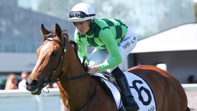 Smart mare Turaath can post a second-up win in Wednesday's Listed Black Pearl Stakes at Geelong. Picture: Racing Photos via Getty Images