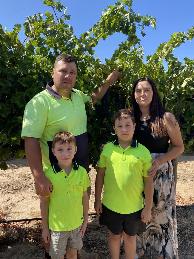 Riverland graper growers Amanda and Steve Dimas with sons Sam and Marcus at their Renmark vineyard. Picture: Supplied