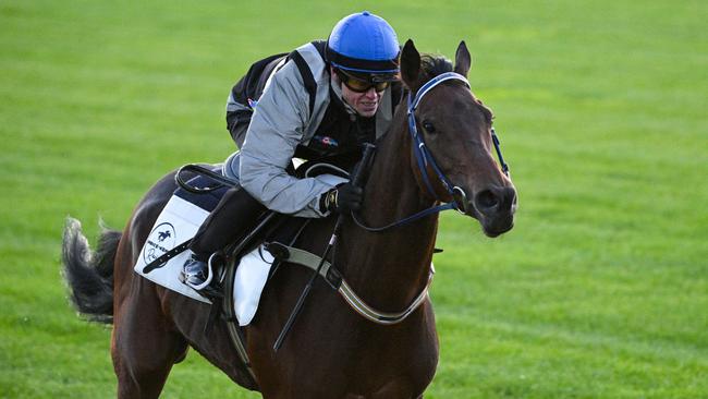 Luke Murrell’s Australian Bloodstock has a share in Melbourne Cup contender Lastotchka. Picture: Vince Caligiuri/Getty Images