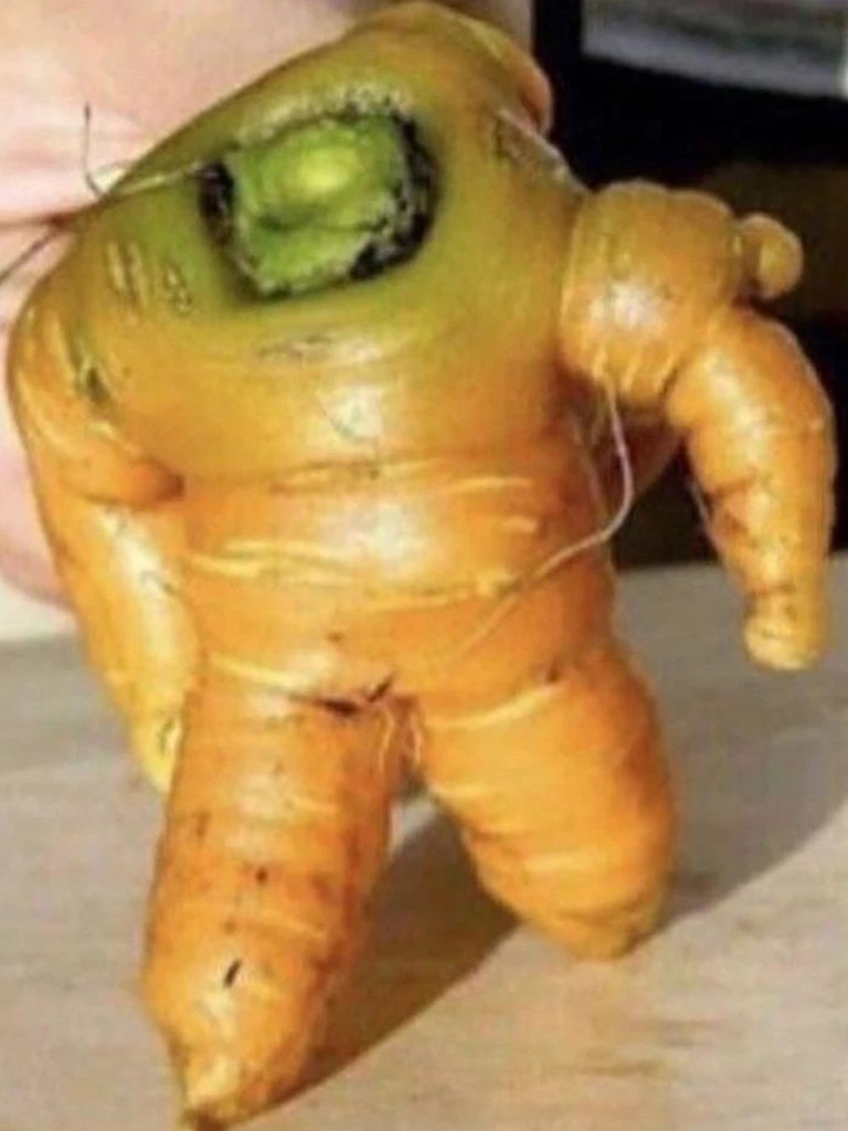 Is that astronaut Neil Armstrong disguised as a vegetable? That's one small step for man, one giant leap for a carrot, to borrow Armstrong’s moon landing quote. Picture: splitpics.uk