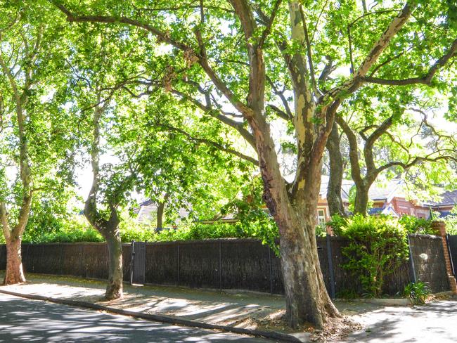 Tree lined streets around Adelaide, Monday, January 2, 2019. Victoria Ave, Unley Park. (AAP Image/ Brenton Edwards)