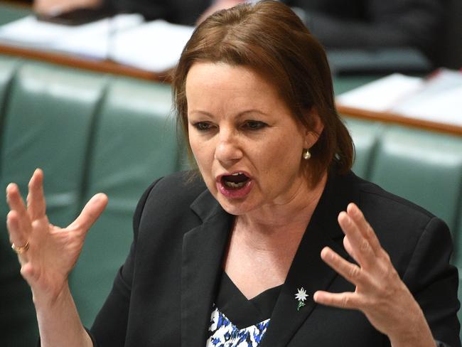 Former Turnbull Government minister Sussan Ley is planning to introduce a private members’ Bill to phase out live exports to the Middle East completely. Picture: AAP