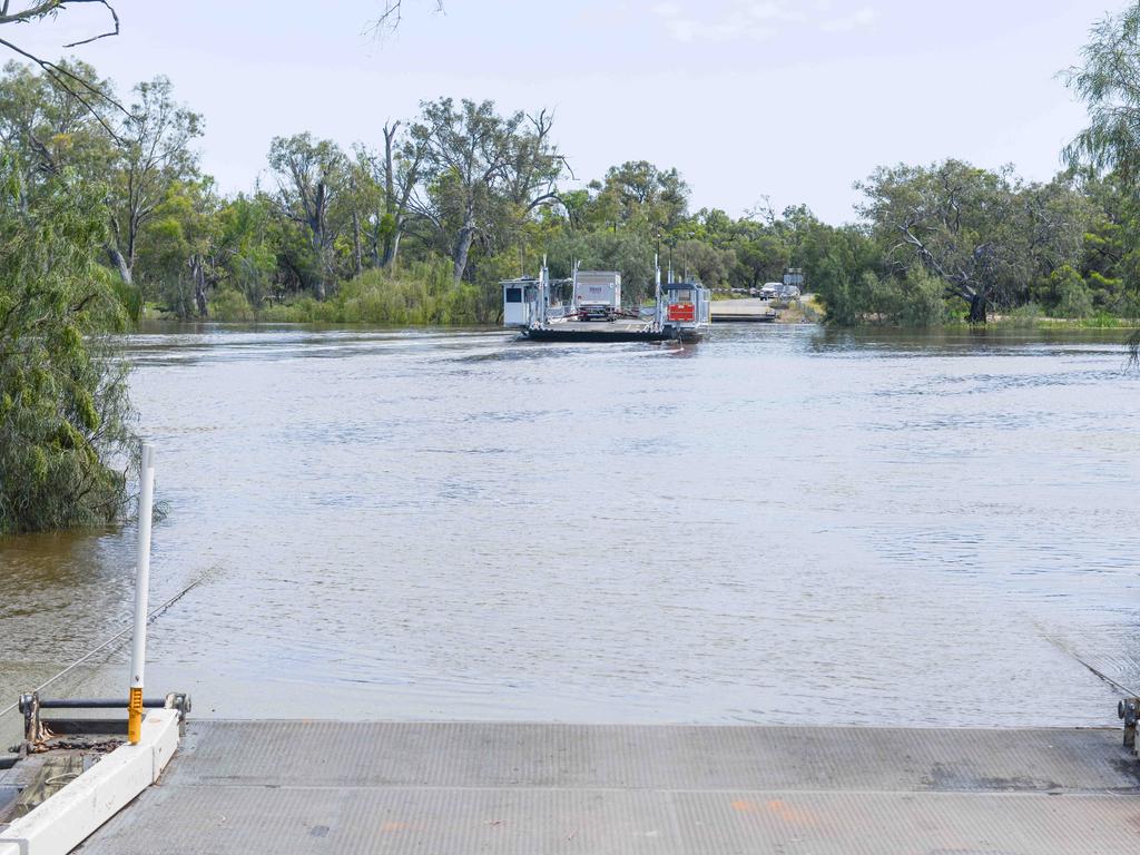 The Lyrup ferry on November 19, 2022: Picture: Brenton Edwards