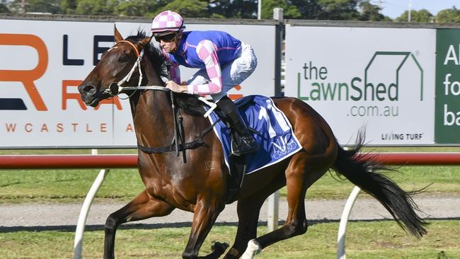 Tavi Time, pictured winning at Newcastle, claimed a nose win in the Summer Cup at Randwick. Picture: Bradley Photos