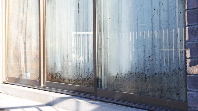 Mould in a South Hobart unit. Picture: Zak Simmonds