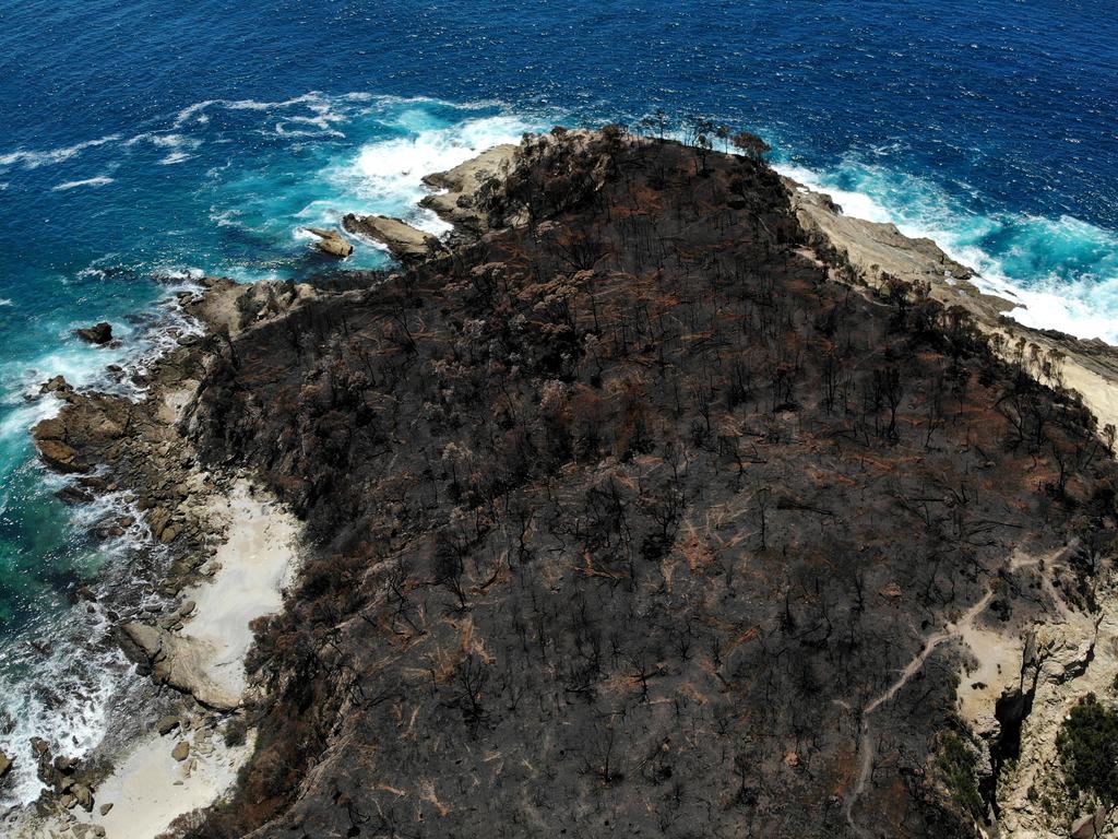 Homes in Malua Bay were randomly destroyed by the New Years Eve fire storm while others were left virtually untouched. The burnt out headland known as Pretty Point where the fire burnt right to the ocean. Picture: Toby Zerna