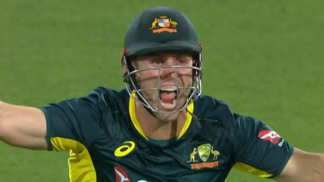 Mitch Marsh went nuts. Photo: Fox Sports