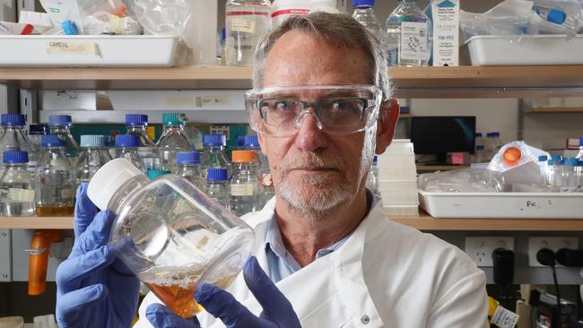 Take two: Professor Paul Young, the co-lead of the University of Queensland’s Covid-19 vaccine project, is working on a second vaccine candidate. Picture: Liam Kidston.