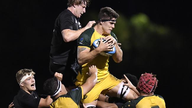 Michael Wood wins a lineout throw during the Oceania Rugby U20 Championship match between Australia and New Zealand at Bond University in 2019. Picture: Getty Images