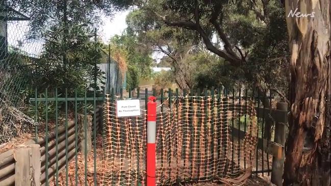 Push to re-open storm-damaged section of Linear Park