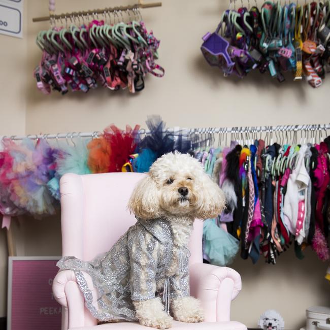 Coco’s walk-in wardrobe. Picture: Dylan Robinson