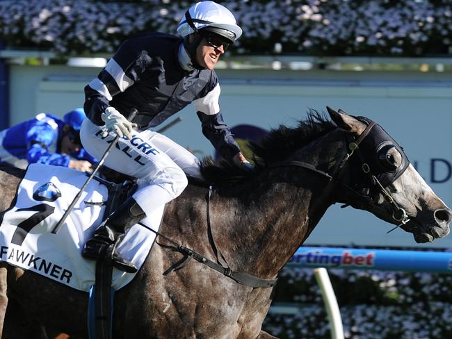 Nicholas Hall rides Fawkner to victory in the Caulfield Cup at Caulfield racecourse in Melbourne, Saturday, Oct. 19, 2013. (AAP Image/Julian Smith) NO ARCHIVING, EDITORIAL ONLY