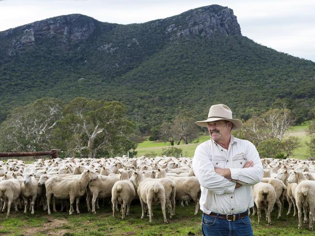 FOCUS: Glenn White DPCGlenn White, General Manager at Dunkeld Pastoral Co. Pictured: Glenn White  Dunkeld Pastoral Co. with sheep.PICTURE: ZOE PHILLIPS