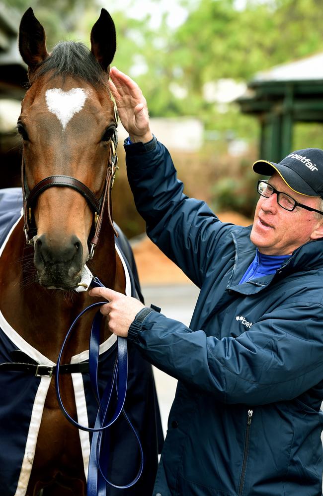 Best Bets, Tips Caulfield: The Early Oil With Michael Manley | News.com ...