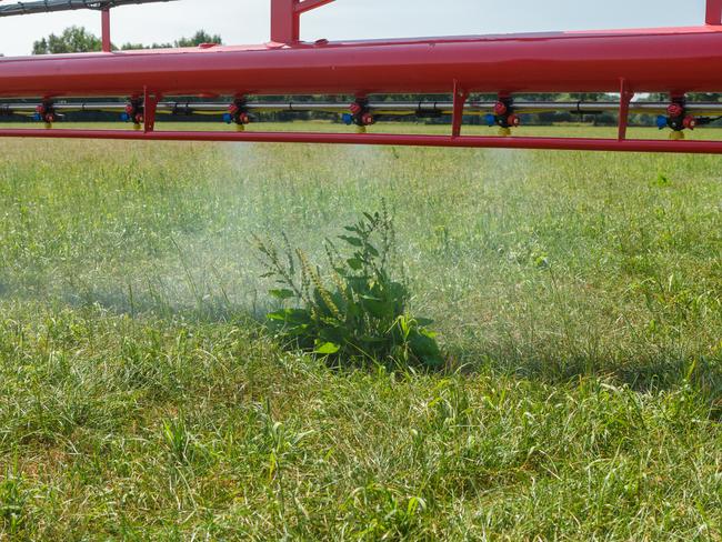 Agrifac has jumped on board new weed-seeking technology with the development of its AiCPlus camera weed identification system.