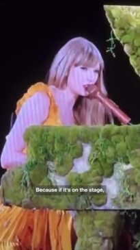 Taylor Swift asks the crowd to not to throw things on stage