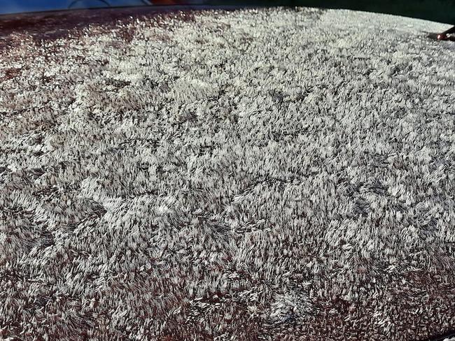 Cars in the Curra region were wrapped in a blanket of frost Thursday morning. Photo: Lisa Marie Maxwell