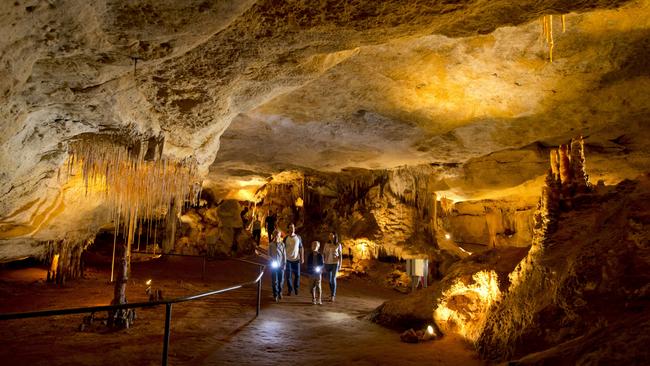 Naracoorte Cave’s national park