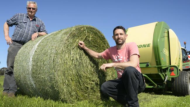 Silage Making at Flynn. Adrian Nethercote & his father Ian, Contractors making Silage at Patrick Ferguson's dairy farm at Flynn.