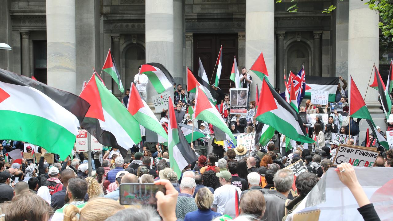 Rally for Palestine on Parliament House steps. Picture: Dean Martin