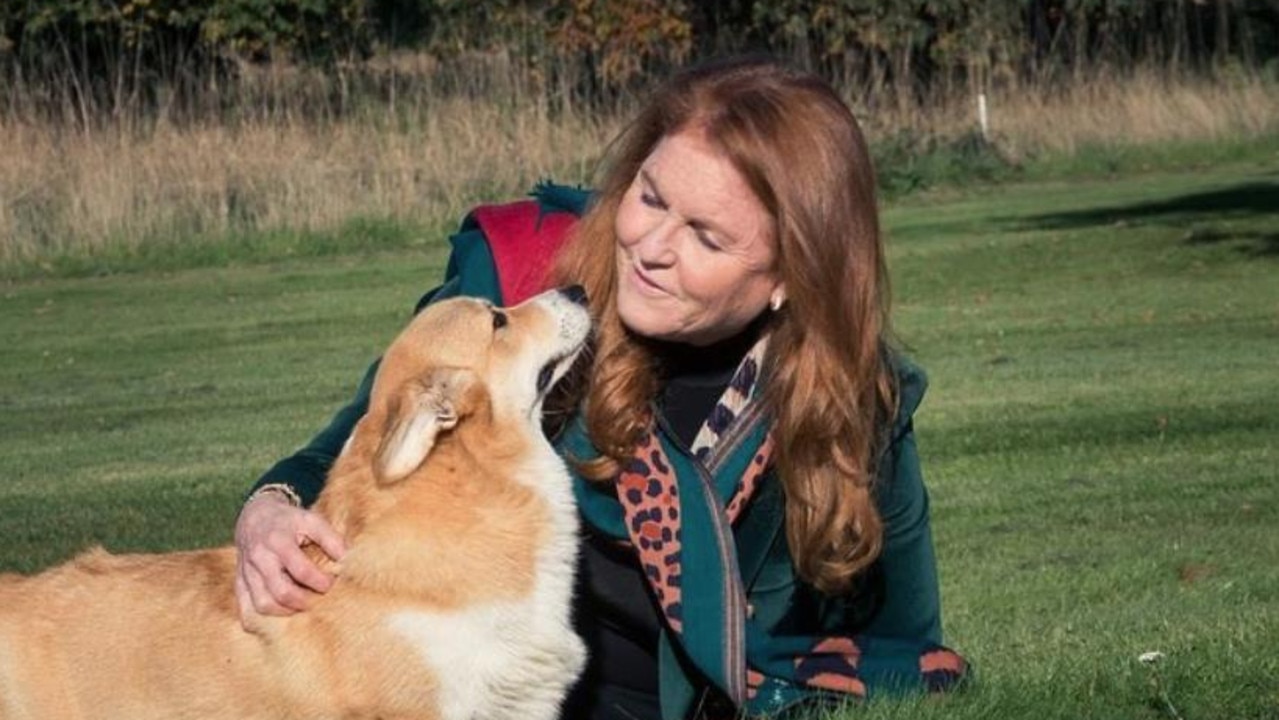 The Prince’s ex-wife, Sarah Ferguson, now cares for the late Queen’s corgis. Picture: Instagram